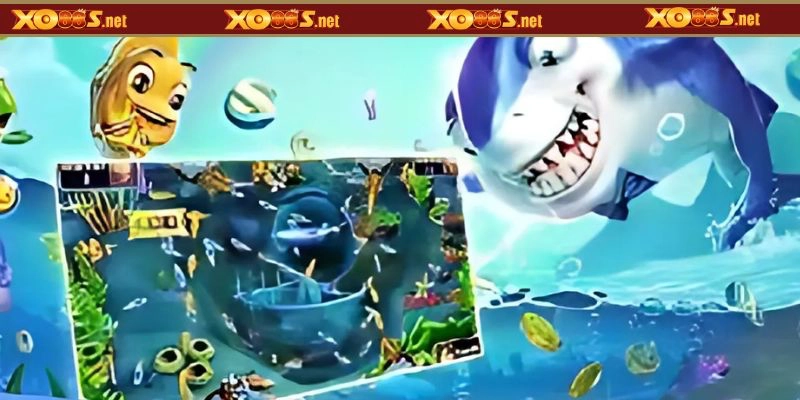 Các sự kiện & phần thưởng hấp dẫn